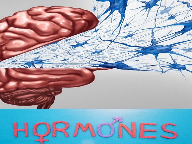Hormone allgemein - Anatomie Kosmetik und Fusspflegeausbildung